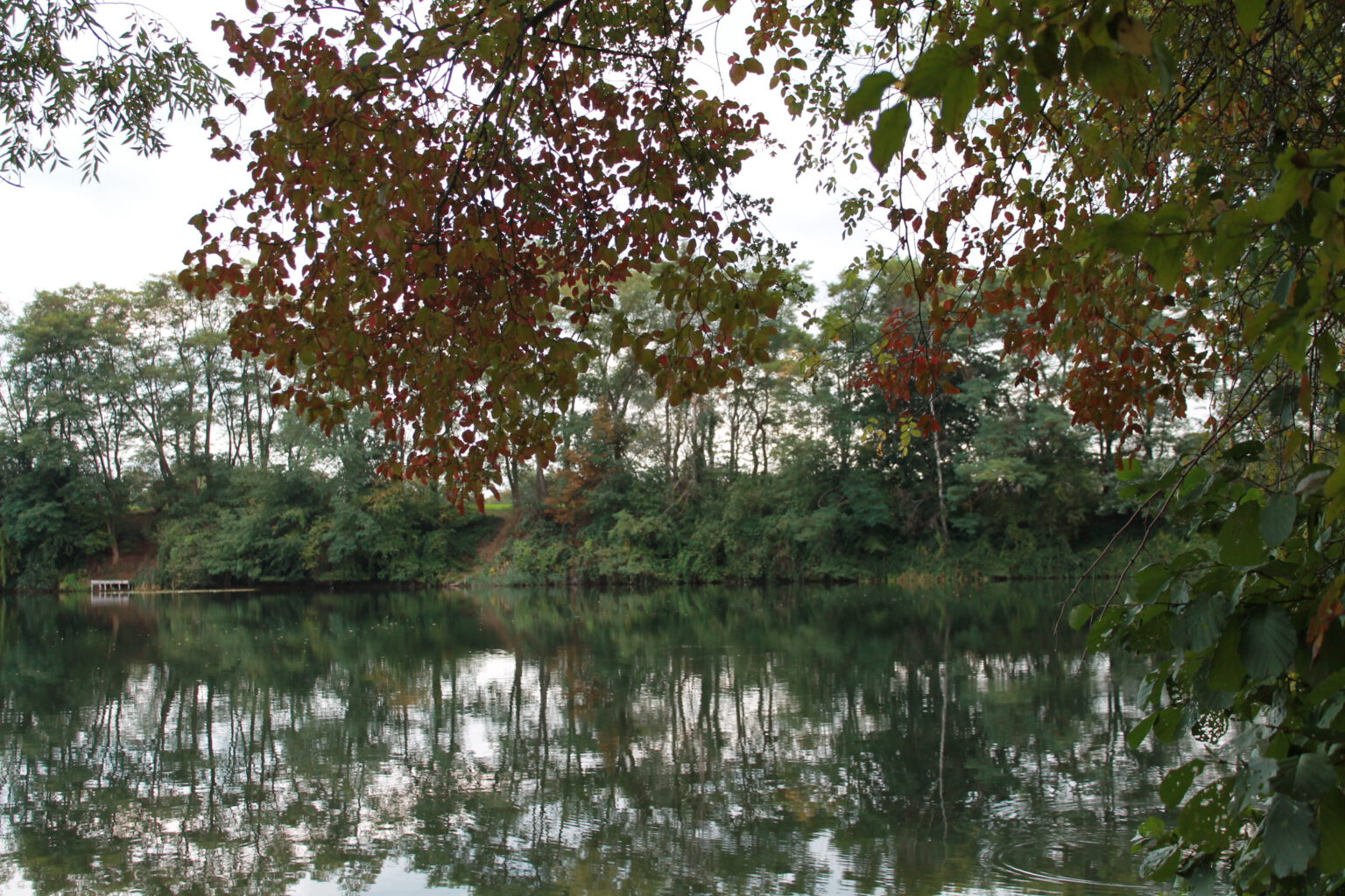 Teich Päpinghausen Fischereiverein Minden